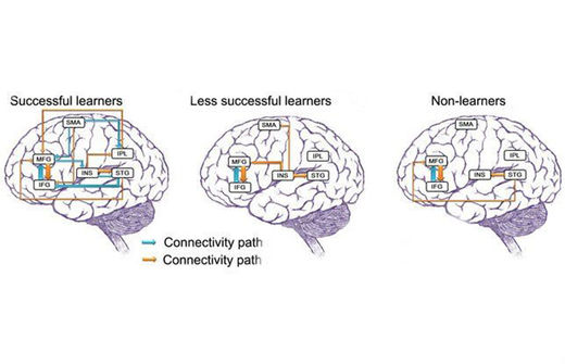 Kako učenje novog jezika u bilo kojoj životnoj dobi utječe na mozak