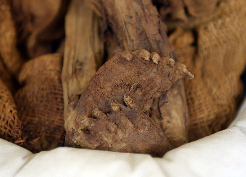 Arheolozi u okolici Lime otkrili mumificiranu bebu.