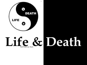 Life and Death - Yin-Yang