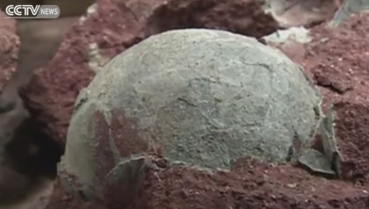 Kina: Radnici sanirajući cestu iskopali 43 dinosaurova jaja.