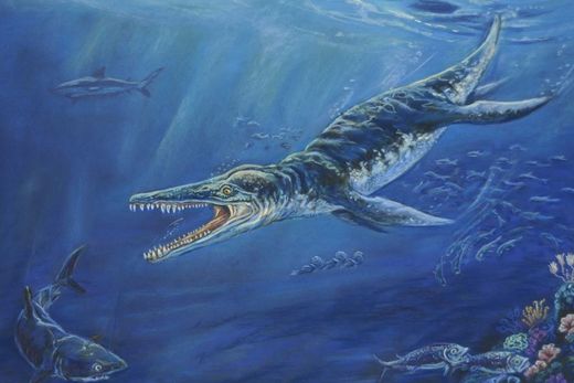 Farmer iz Australije u vrtu pronašao ostatke kronosaura koji je živio prije 100 milijuna godina.
