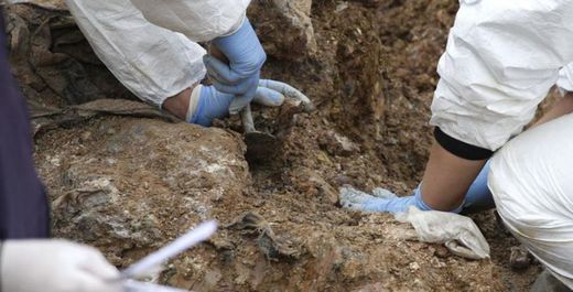 Na lokalitetu Snagovo već ranije je pronađeno sedam sekundarnih masovnih grobnica iz kojih je do sada ekshumirano 818 posmrtnih ostataka.