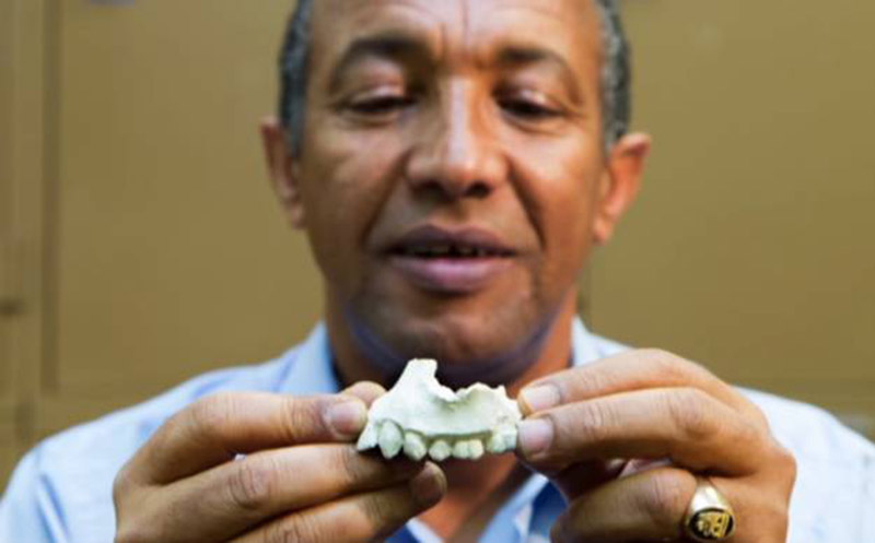 U Etiopiji otkrivena nova vrsta drevnih ljudi starih između 3.3 i 3.5 milijuna godina.