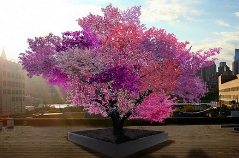 Slika