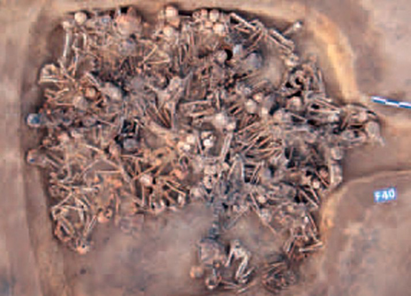 Kina: U kući staroj 5.000 godina pronađeni ostaci 97 osoba.