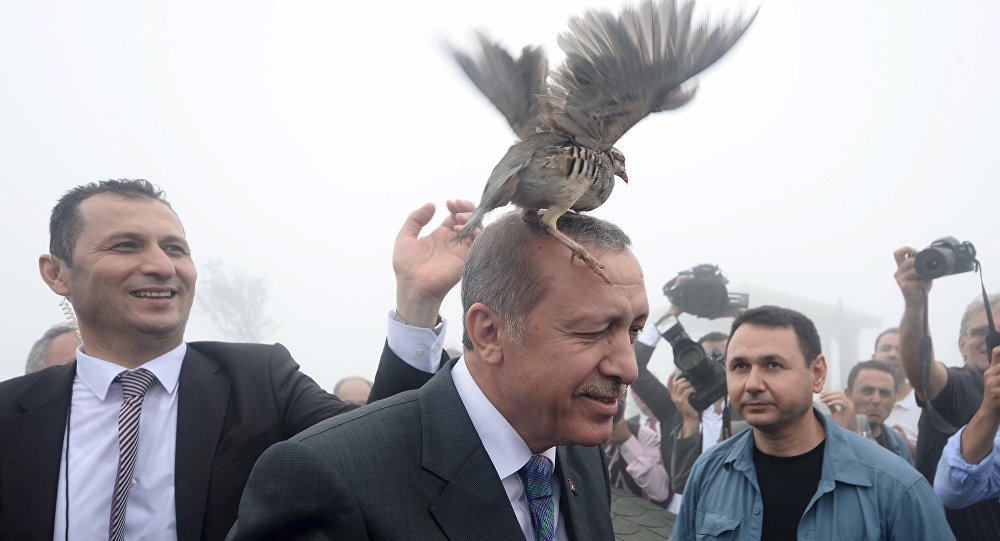 Erdogan Turska