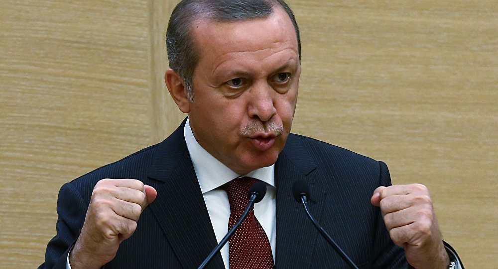 Erdogan Turska