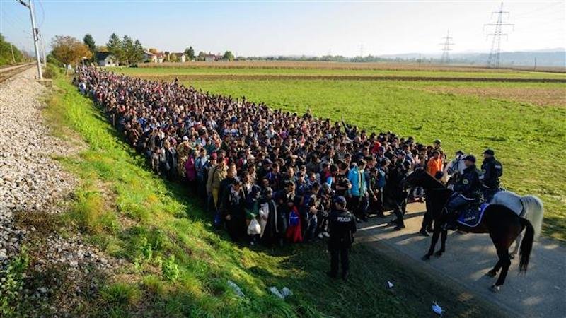 refugees