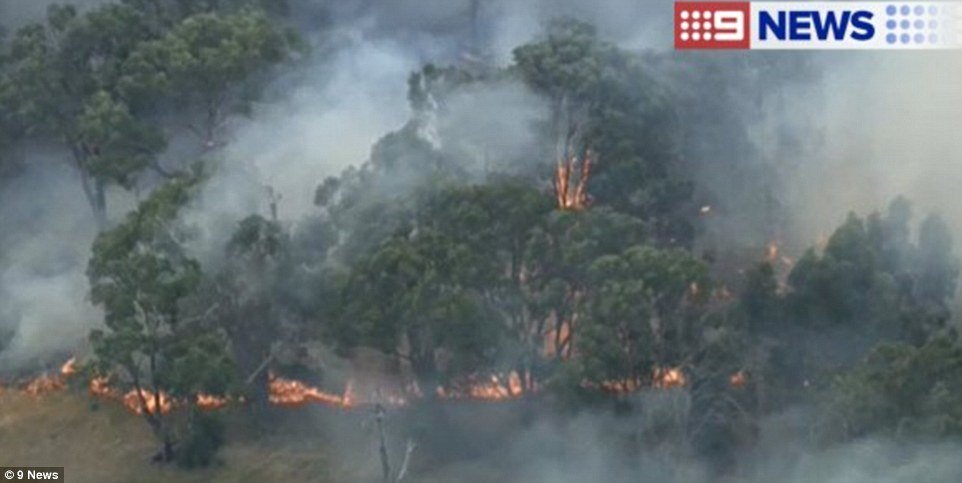 U Australiji iznimno visoke temperature, požari i jaki vjetrovi