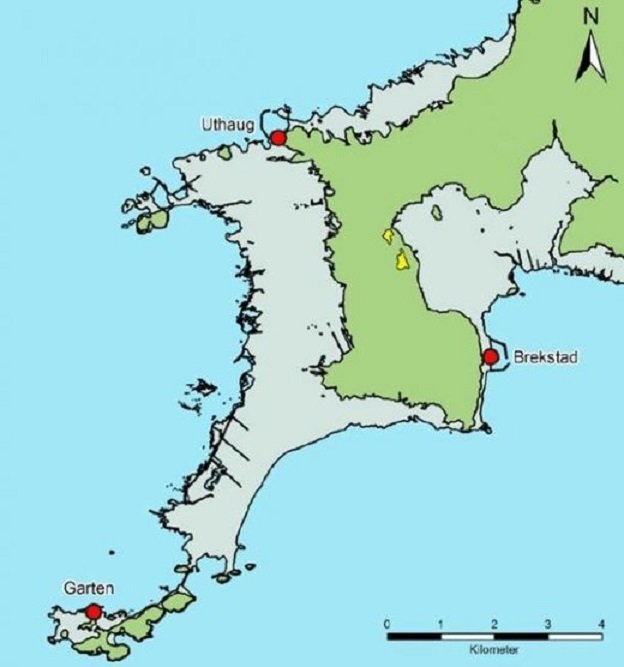 Arheolozi u Norveškoj otkrili 1500 godina staro vikinško naselje iz Željeznog doba