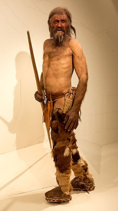 Nova saznanja: Ötzi, 