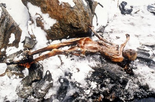 Nova saznanja: Ötzi, 