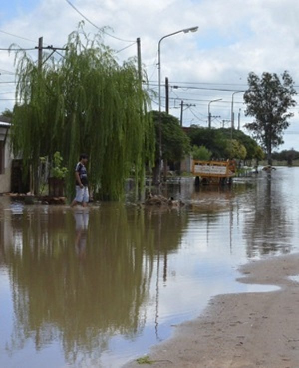 Argentina: Invazija zmija otrovnica na plažama posljedica proteklih teških poplava