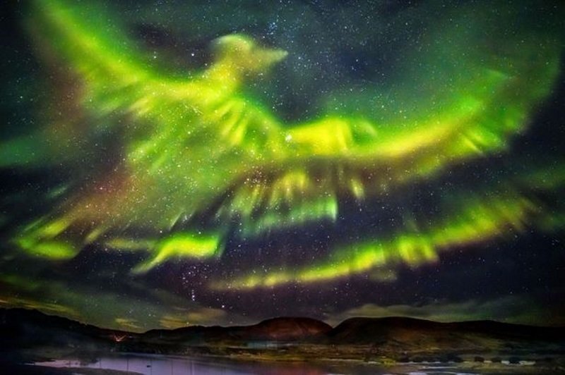 aurora borealis phoenix