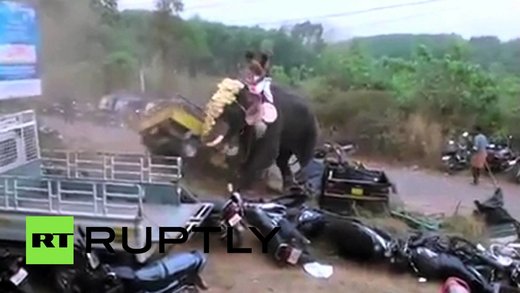 U Indiji ljuti slon prevrtao automobile