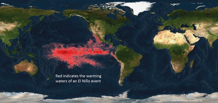 Znanstvenici upozoravaju: El Nino bi mogao biti odgovoran za prenošenje ozbiljnih bolesti