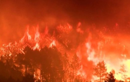 Hrvatska: Na području Marine požar zahvatio oko tisuću hektara borove šume