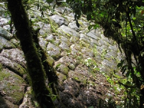 Da li su naučnici otkrili izgubljeni grad divova u Ekvadoru?