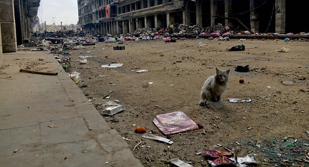 Aleppo Syria