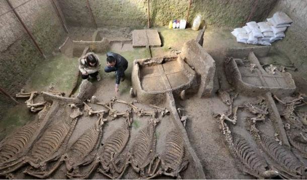 DNK testovi otkrivaju rijetkog zlatnog konja pokopanog u 2000 godina starom kineskom grobu 