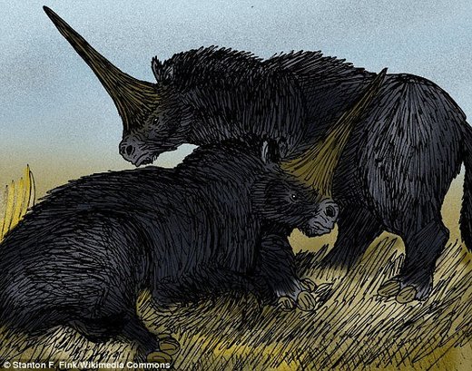 Nije jednorog: Fosili pokazali da je ogromni sibirski nosorog izumro drastično kasnije nego što se mislilo do sada