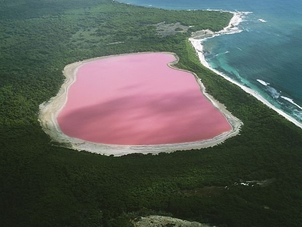 Rješena misterija australijskog ružičastog jezera: Boja jezera prouzrokovana algama koje vole so