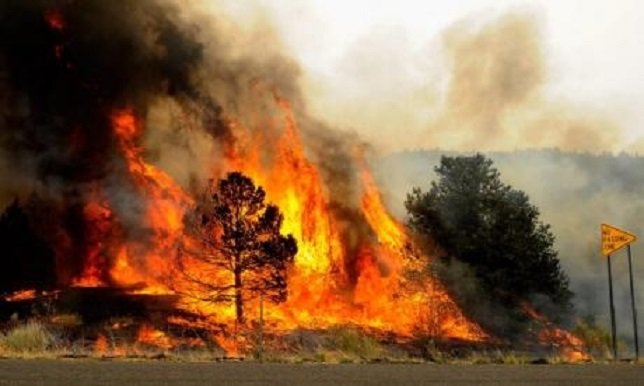 U 2 velika požara u Makedoniji izgorjelo najmanje 14 hektara šume