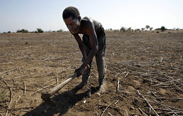 Malavi: Proglašeno stanje prirodne katastrofe zbog nestašice hrane izazvane sušom