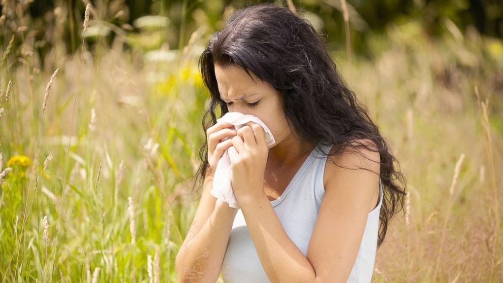pollen