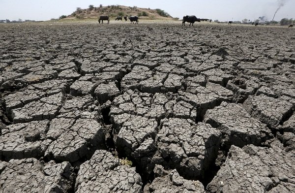 U Indiji milioni ljudi ugroženo zbog suše koja je pogodila 256 oblasti