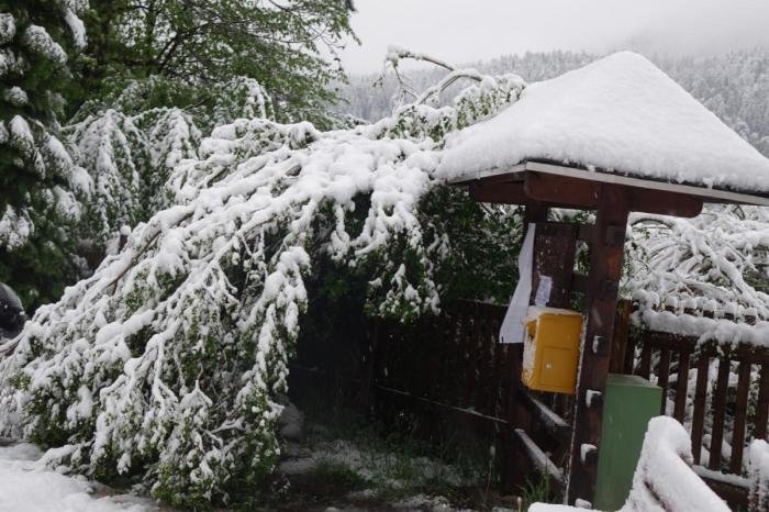 Slovenija: Obilne snježne padavine uzrokovale nestanak struje desetak tisuća ljudi