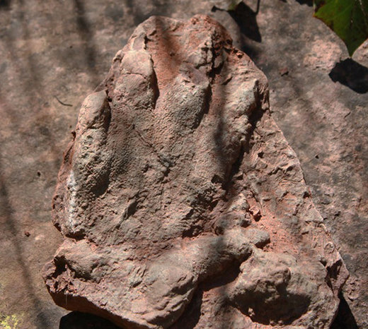 Otisak stopala dinosaura star 230 miliona godina pronađen u Kataloniji