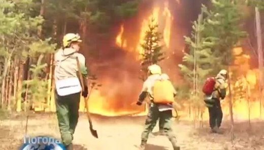 U Rusiji gori 45 šumskih požara, najveći požari u Amurskoj oblasti