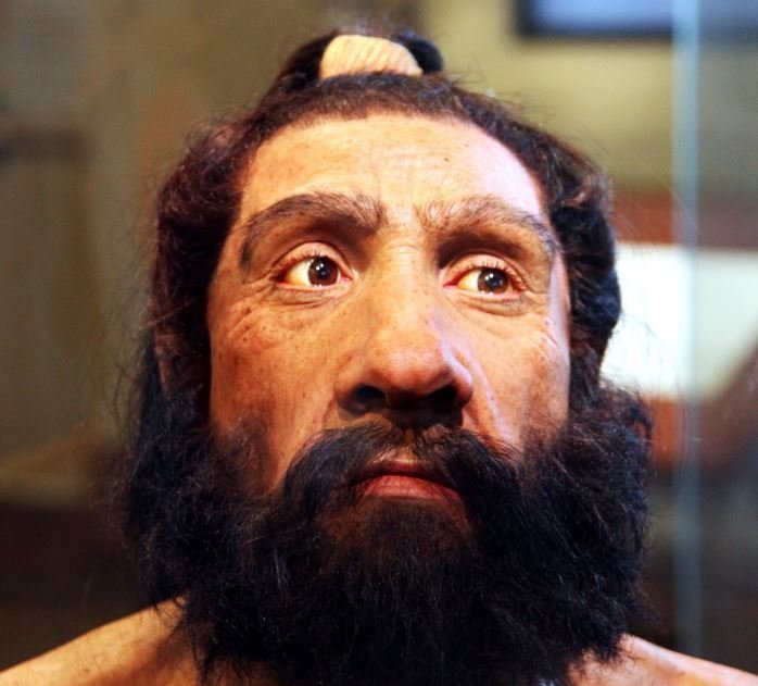 Istraživanje sugerira da su klimatske promjene prema ekstremnim hladnoćama možda ubile neandertalce