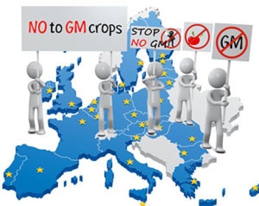 Monsanto evidentira gubitke: SAD želi utrapiti Evropi GMO