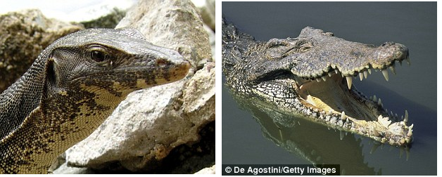 T-rex imao usne? Zastrašujući dinosaur možda ne bi izgledao tako strašno kada bi zubi poput noževa mogli biti skriveni iza usana