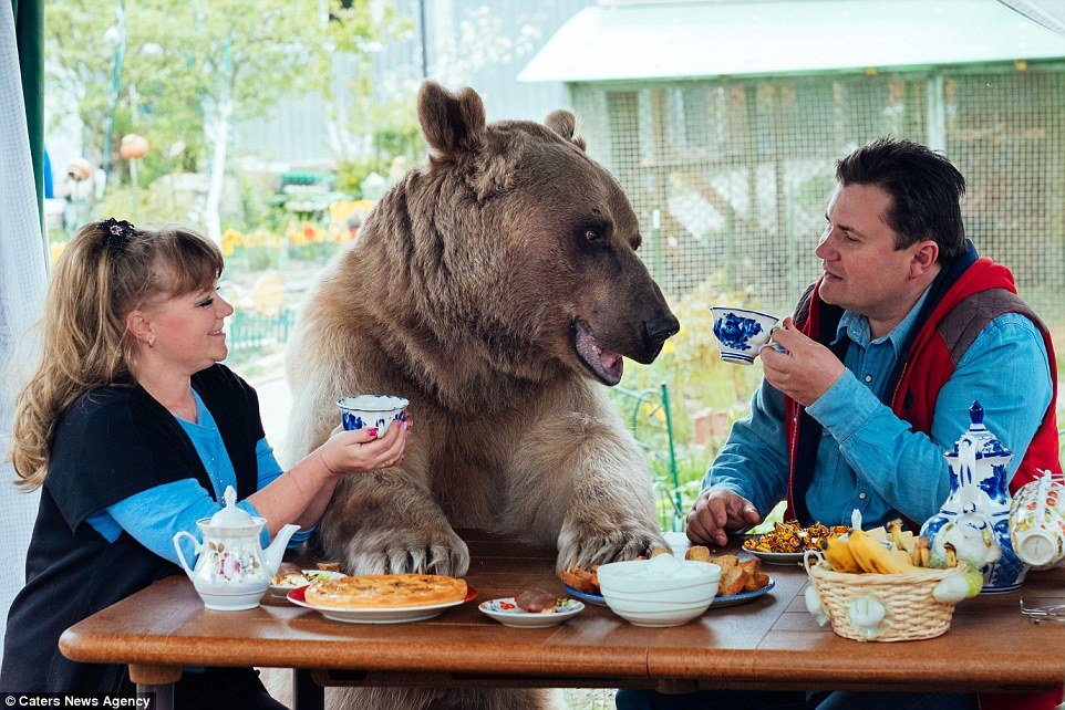 Ruska obitelj posvojila medvjeda Stepana