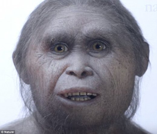Ostrvo Flores, Indonezija: Otkriveni novi fosili hobita, 500.000 godina stariji od prethodnih