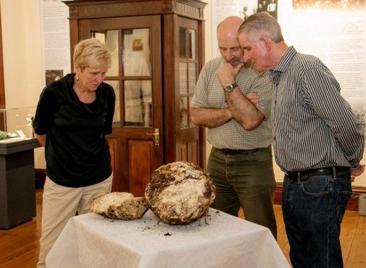 U Irskoj pronađena kugla putera stara 2000 godina i potpuno jestiva