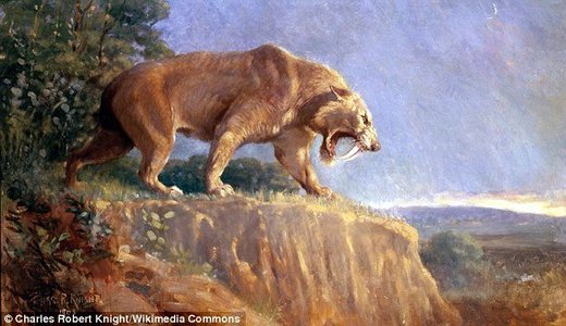 U Argentini pronađeni tragovi drevne mačke stari više od 50.000 godina