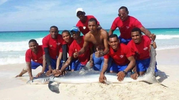 Još jedna od brutalnosti ljudi prema drugom živom biću: Nakon selfia ostavili morskog psa da ugine na plaži