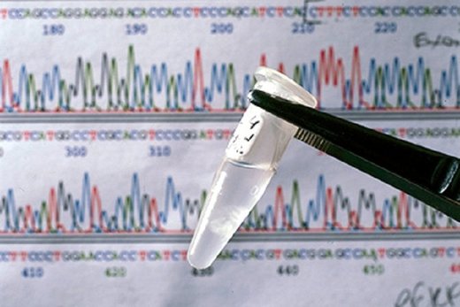 U Americi odobreni eksperimenti na ljudskoj genetskoj modifikaciji