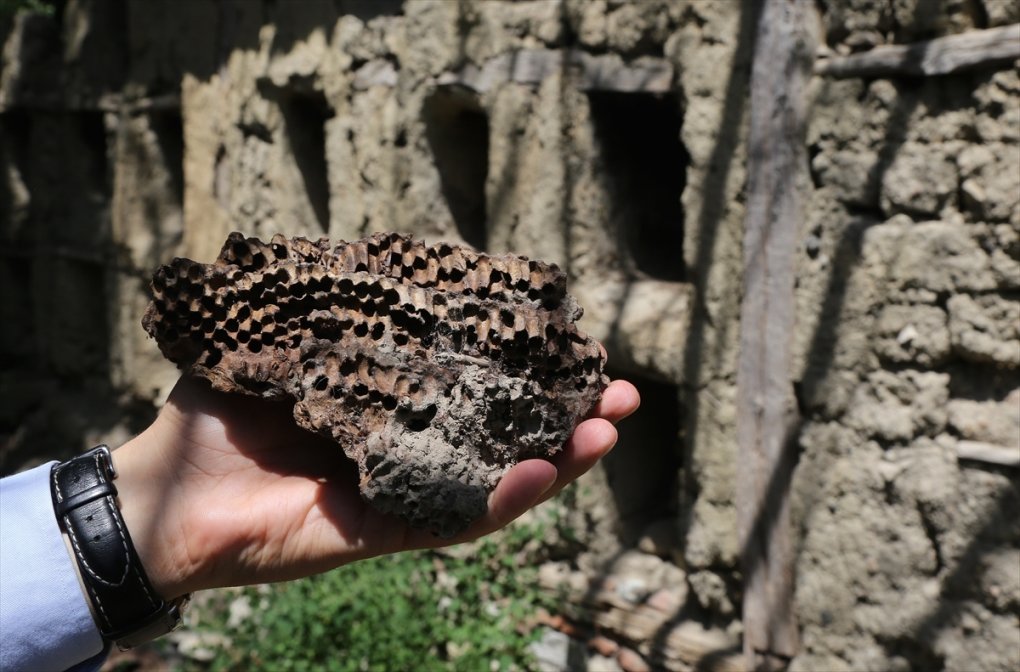 U Turskoj pronađene košnice korištene prije 150 godina, pčelarska praksa koja datira još iz doba Rimskog carstva