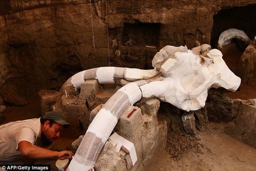 Pronađen skelet mamuta star najmanje 12.000 godina u Meksiku
