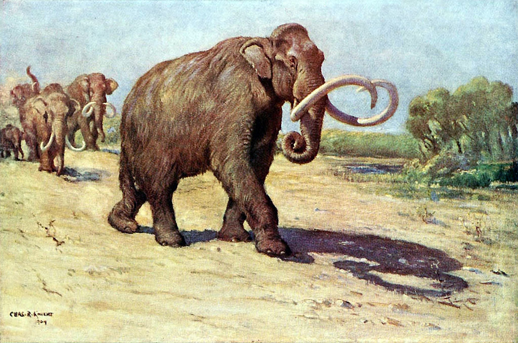 Pronađen skelet mamuta star najmanje 12.000 godina u Meksiku
