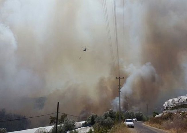 Šumski požari u ljetovalištima u Antaliji, Turska