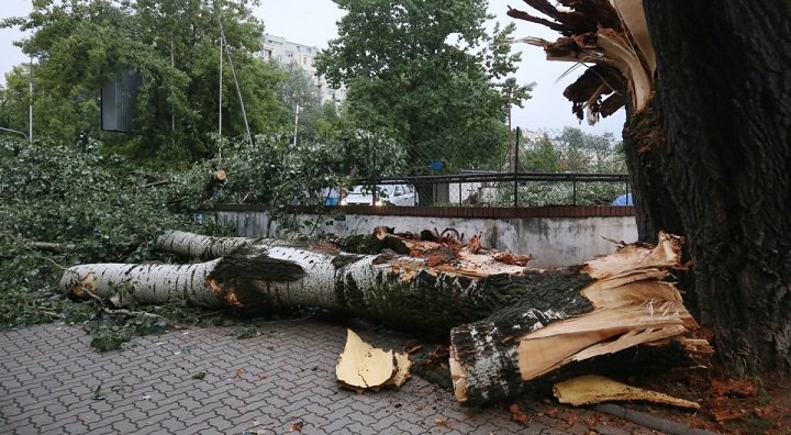 U olujnom nevremenu koje je zahvatilo Poljsku poginule su 3 osobe, a 16 ih je povrijeđeno