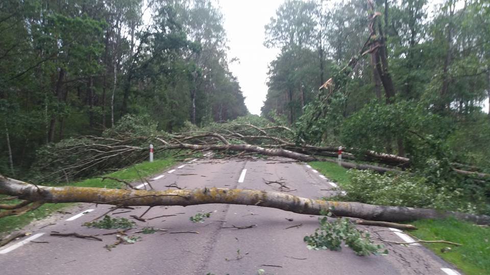 U olujnom nevremenu koje je zahvatilo Poljsku poginule su 3 osobe, a 16 ih je povrijeđeno