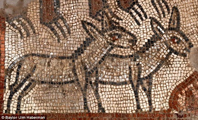 U staroj sinagogi u Izraelu pronađen rijedak mozaik Noine arke