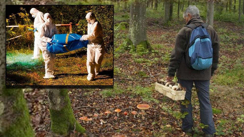 U Njemačkoj berači gljiva pronašli spakiran uranijum tvrtke Wismut